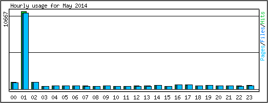 Hourly usage