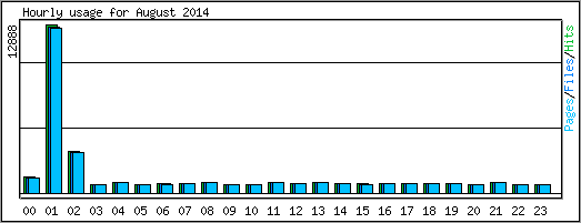 Hourly usage