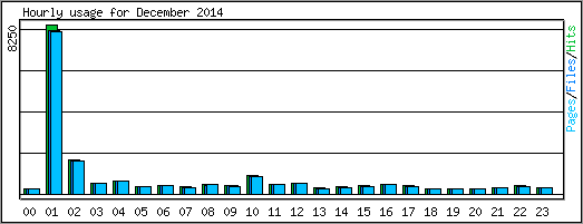 Hourly usage
