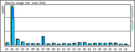 Hourly usage