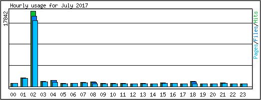 Hourly usage